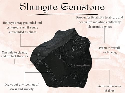 Amazing Gemstone Shungite Pendant Necklace D Shape with Garnet