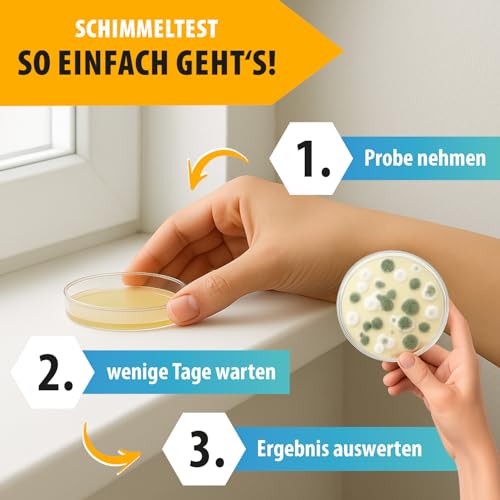 Mold Test Home – Mold Tester for 6 Rooms – Mold Quick Test with a breeding ground for an in the Air | Mold rapid test for estimating the room air 6 pcs. (pack of 1)