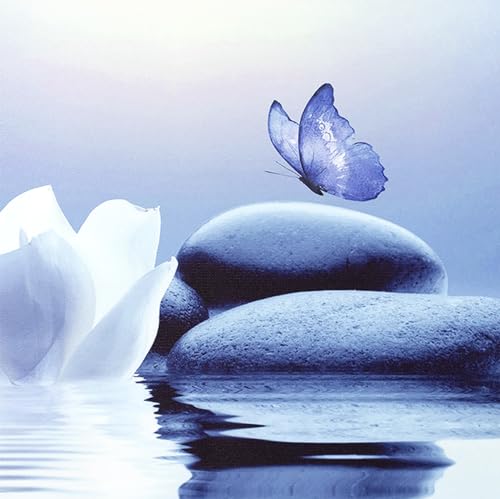 EOBTAIN Zen White Flower Canvas Wall Art Floral and Blue Butterfly on Stone Modern Framed Picture Yoga Spa Spiritual Painting Artwork Print Decor for Bathroom Bedroom Living Room 24x16 Inches 16"L x 24"W
