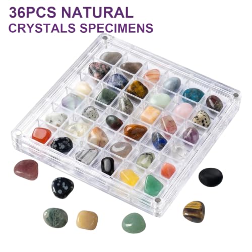 36Pcs Natural Gemstone and Crystals with Acrylic Display Box