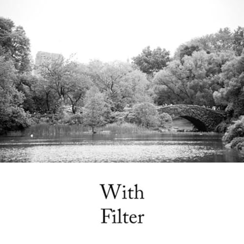 HOYA HMC K2 58mm Lens Filter (Yellow)– Tonal Enhancing Camera Filter for B&W Photography with Slim Aluminum Frame, Multi-Coated Optical Glass, Reduces Flare & Ghosting, Improves Contrast & Clarity