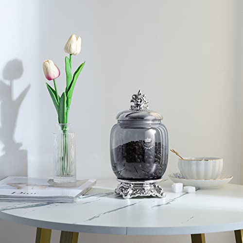 fanquare 35oz Modern Ceramic Cookie Jar with Silver Airtight Lid and Base