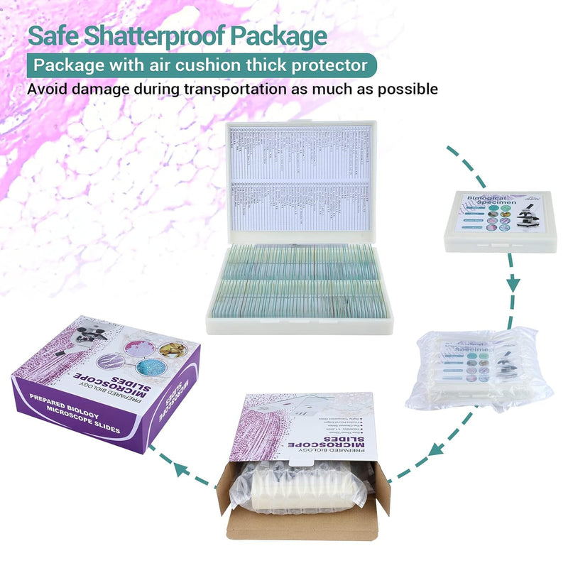 Set of 100 USCAMEL microscope slides with specimens like bacteria, fungi, human tissues, plants, insects, and animal cells.
