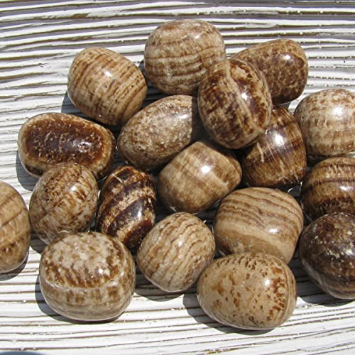 Pachamama Essentials Aragonite Tumbled - Healing Stone - Crystal Healing 20-25mm (1) 1