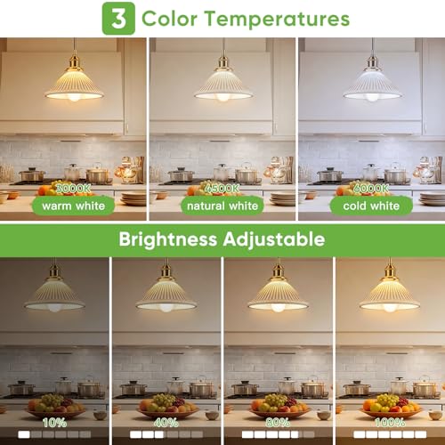 Kimjo 7W E27 Rechargeable Bulb with Battery, 3 Colors, Pack of 2 | Rechargeable Light Bulb with Remote Control, Camping Lamp, Battery Lamp with Hook, USB, Dimmable, Button Control, Outdoor Emergency Light