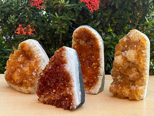 GAF TREASURES Finely Polished Citrine Clusters with Cut Base | Honey Citrine Quartz Cluster (1-2 lb) 1-2 lb