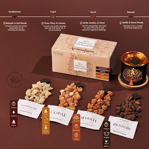 Spiritual Awareness Smokeless Incense Bricks Gift Set by Aromafume