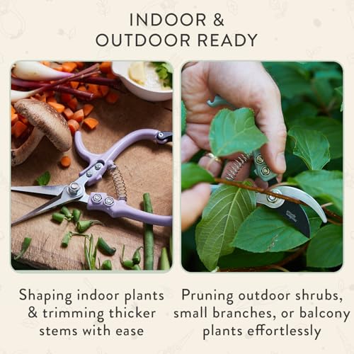 Modern Sprout sage hand pruners and shears set, gardening scissors in blister packaging