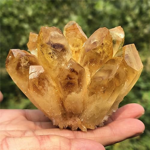 Citrine Quartz Cluster Reiki Healing Irregular Shape & Size Natural Crystal Point Mineral Crystal Specimen Home Decor (200~300g) 200~300g