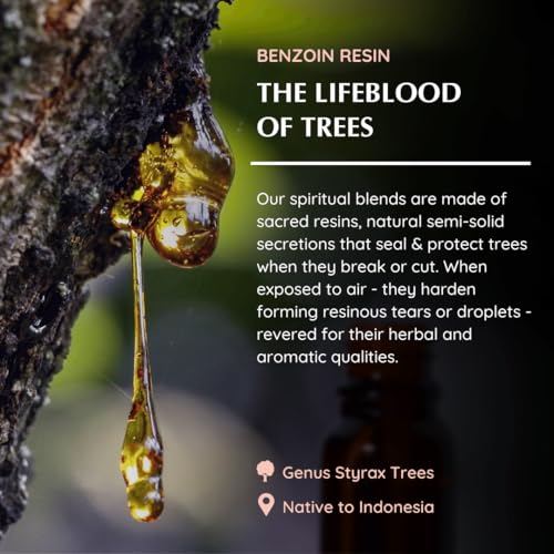 Benzoin Resin Diffuser Blend with Styrax Extract, 30ml, Aromafume