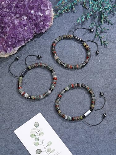 Jovivi Natural Healing Crystal Beaded Bracelet for Men Women Jewelry Gift Dragon Bloodstone
