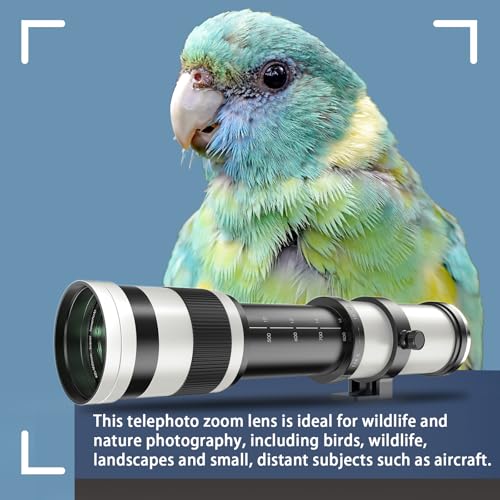 EF/EF-S 420-800mm F8.3 Telephoto Zoom Lens(MF) for Canon EOS Rebel T8i/T7i/T7/T6i/T5/T3i/T2i/XSi/SL3/SL2/T100/90D/80D/70D/50D/5D Mark IV/6D II/7D II/1D X III II-Manual Focus DSLR Cameras Lenses(White) For Canon EF/EF-S (White)