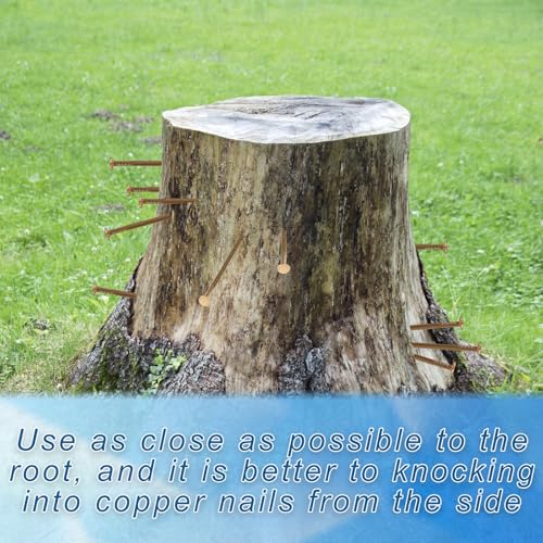 BMIROAMDFE solid pure copper masonry nails and steel drill nails, 26-count, 3.48-inch tree stump spikes