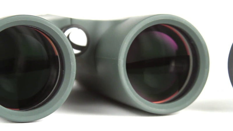 Celestron Outland X 10x25 Compact Binoculars for Hiking & Travel 10x25 Outland X