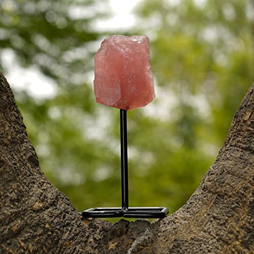 Zodiac Sign Sagittarius Horoscope Crystal Gift Set of 5, Astrology Stones with Rose Quartz and Natural Crystals, Shungite Protection Chip, Birth Sign Gift for Meditation, Yoga and Spiritual Décor