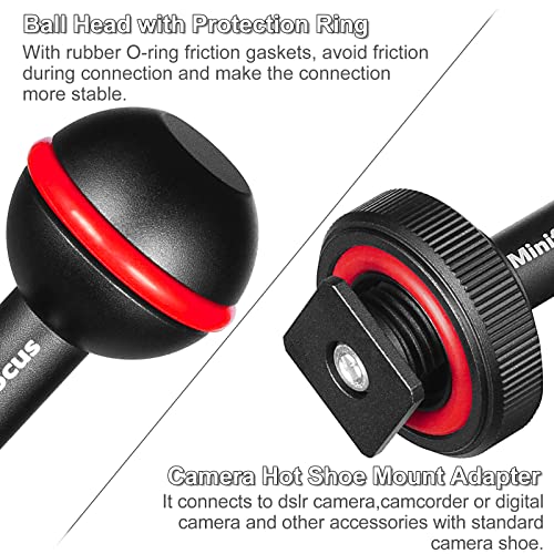 MINIFOCUS 1'' Ball Clamp Mount with Cold Shoe Ball Mount Head Base Adapter Connector for Diving Light Arm Underwater Camera Waterproof Housings Case Video/Flash/Strobe Hot Shoes Cold Shoe&Clamp