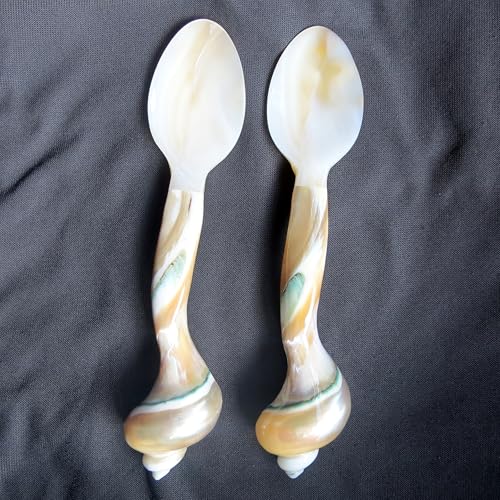 Set of 02 Spoons Shell Spoon Mother of Pearl Caviar Spoons W Round Handle for Caviar, Egg, Ice Cream, Coffee, Restaurant Serving (2 Pieces,7 Inches)