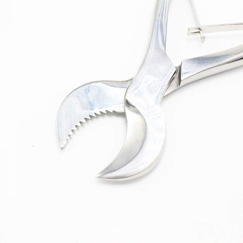 [Australia - AusPower] - Stainless Steel Dental Pliers Plaster Nippers Cutter Dentist Lab Equipment, Cow Horn Jaws, Serrated Blade, Spring Action by Hbmol (Small) 
