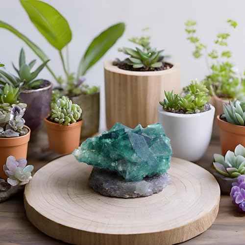 1Pc Natural Green Fluorite Cluster Specimen 0.36-0.45lb - Druzy Quartz Healing Crystal for Energy, Meditation, and Home Decor