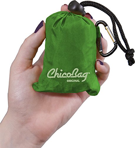 ChicoBag Original Compact Reusable Grocery Bag w/Attached Pouch and Carabiner Clip | Perfect for Shopping, Travel, Organization | Eco-Conscious Packable Tote | Pale Green (Pack of 4)