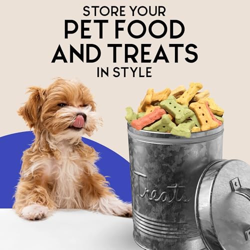 Amici Pet, Retro Treats Galvanized Relief Lettering Metal Storage Canister, Food Safe, Push Top, 72 Ounces (Pack of 2) Large/72 oz (Pack of 2)