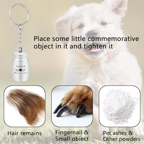 One Piece Cremation Urn Keychains Stainless Steel Memorial Urns Mini Keepsake Urns Keyring Pet Small Urns Ashes for Human Pet (Silver)