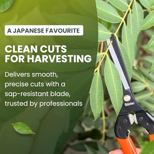 forest Originals Saboten 7.9-inch Japanese harvesting shears with straight fluorine-coated stainless steel blade and spring grip
