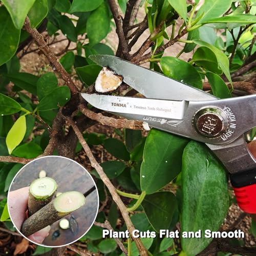 TONMA JP 7.5-inch pruning scissors, Korean-made multi-precision garden snips with sharp blades
