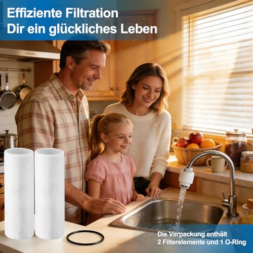 Water Filter Replacement Candles Set, 2 Replacement Filters 80 µm with O-Ring, Compatible with Grünbeck Geno Fine Filter FS 1, Environmentally Friendly Wool Felt for Domestic Water Filter White 2 pieces (2 packs of 1)