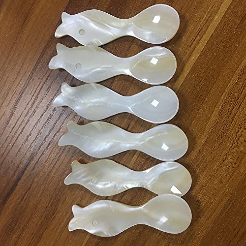 DUEBEL Sturgeon Shape Caviar Spoon, 8 cm x 2.5 cm Mother of Pearl Egg Spoon, Set of 6