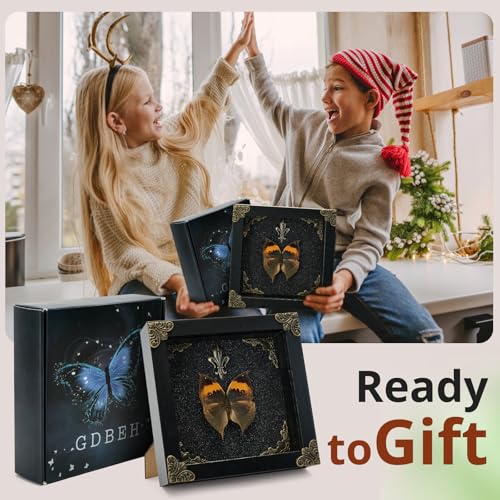Real Butterfly Framed Handmade - Taxidermy Butterfly Shadow Box - Real Framed Butterflies in a Box for Gothic Home Decor Aesthetic. (Kallima Inachus) Kallima Inachus