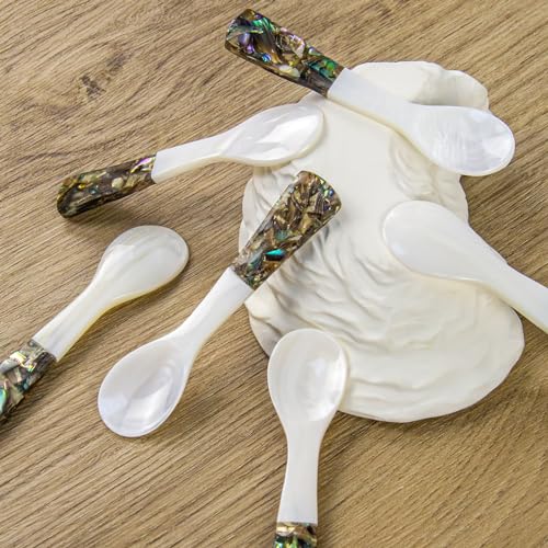 DUEBEL Set of 6 Caviar Spoons of Abalone Handle, 4" Mother of Pearl Spoons for Caviar Serving, Egg Serving, Catering Deroration, Restaurant Tableware