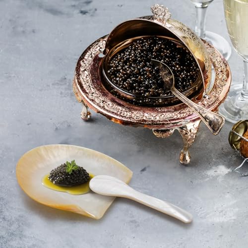 4 Pcs Natural Shell Plate Set, Includes 2 Gold Mother of Pearl Caviar Plates with 2 Pearl Spoons, Suitable for Storing Various Small Items or Holiday Gifts
