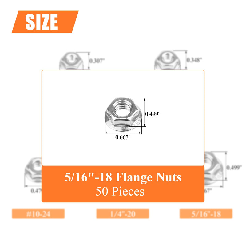 [Australia - AusPower] - 50 Pieces 5/16”-18 Flange Nuts, Serrated Flange Hex Lock Nuts Assortment Kit, 304 Stainless Steel (18-8), Bright Finish, Coarse Thread 5/16"-18 (50 PCS) 