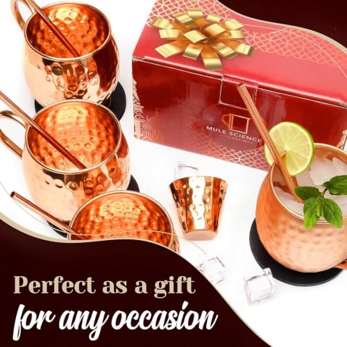 Advanced Mixology Pure Copper Moscow Mule Mugs Set of 4, 19 oz Hand-Hammered Copper Cocktail Mugs with Reusable Straws, Jigger & Coasters, Ideal for Home Bars, Restaurants & Events.