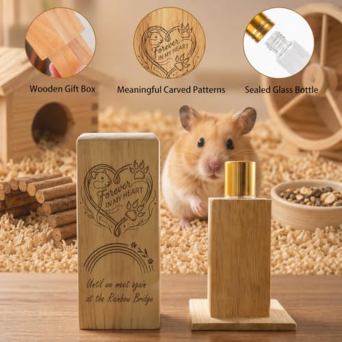 Mini Wooden Memorial Box, Small Keepsake Urn for Hamster Ashes Rainbow Pet Mouse