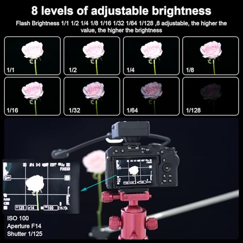 Fomito Triple Head Macro Flash - Universal Hot Shoe, 8-Level Brightness, 9-Stop LED Focus Assist, USB-C Rechargeable (2000mAh) - 17.52inch KM202-L2