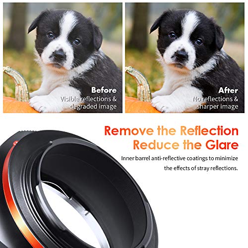 K&F CONCEPT EF EF-S Lens to NEX Adapter Plus, Manual Focus Lens Adapter with Matting Varnish Design Compatible with Sony Alpha E Mount Mirrorless Cameras