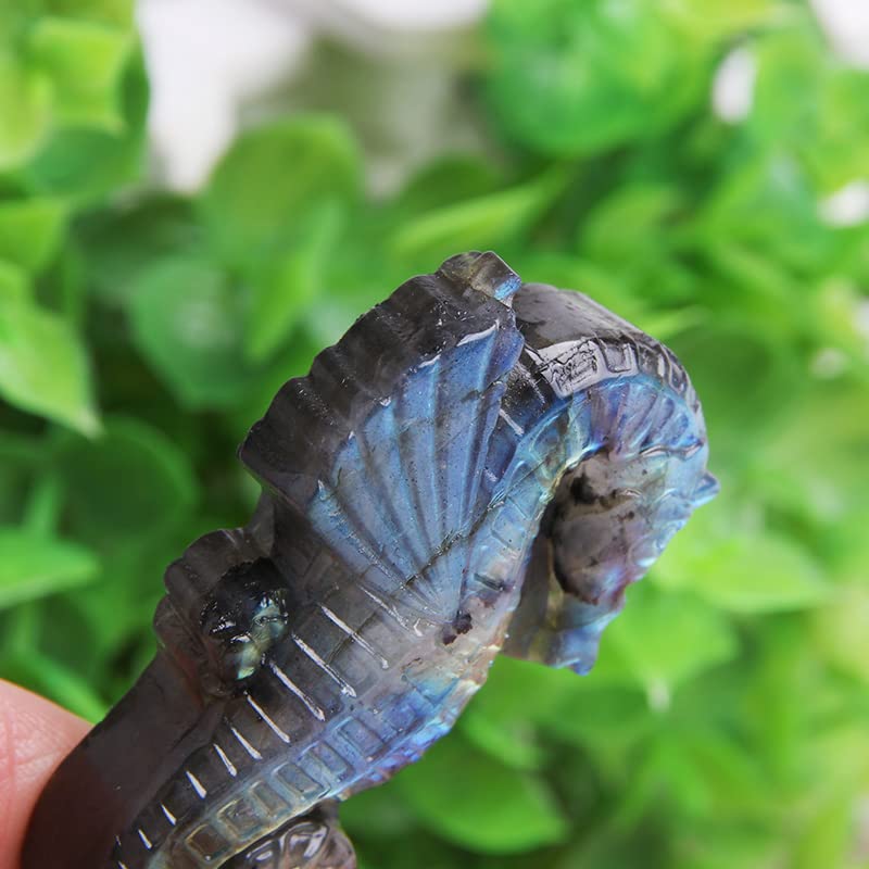 Wixine1Pcs Labradorite Hand Carved The Sea Horse Quartz Crystal Healing