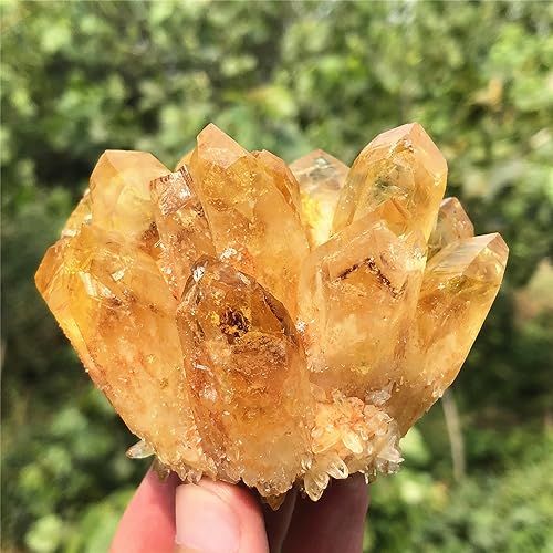 Citrine Quartz Cluster Reiki Healing Irregular Shape & Size Natural Crystal Point Mineral Crystal Specimen Home Decor (200~300g) 200~300g
