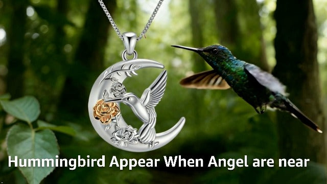 Oinsi Cremation Jewelry Crescent Moon and Hummingbird Urn Necklaces for Ashes for Women Men Rose Ashes Keepsake Memorial Human Ashes Pendant Silver-Colorful