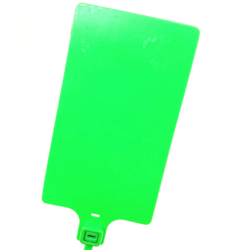 [Australia - AusPower] - Plastic Seals Shipping Tags Logistics Use Big Sign Tie Large Label Tie, 255mm Total Length, Package of 100pcs (Green) Green 