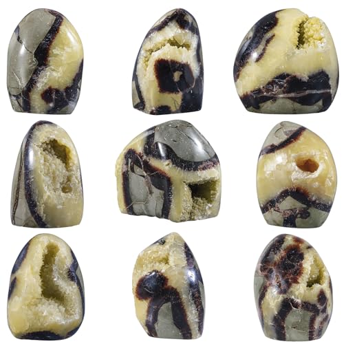 Natural Septarian Dragon Stone Geode Healing Crystal Geode Decor 0.22-0.44lb(100g-200g)