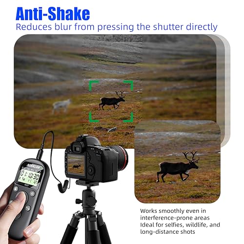 Rechargeable Intervalometer Timer Shutter Release Remote with LCD Screen Timer Shutter for Canon