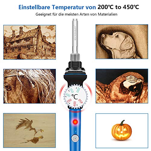 Handskit Pyrography Iron 42-Piece Set Soldering Iron, Burning Iron with Adjustable On/Off Switch, with 60 W Adjustable Temperature 220-450 °C, Wood Pyrography for Professionals and Hobbyists