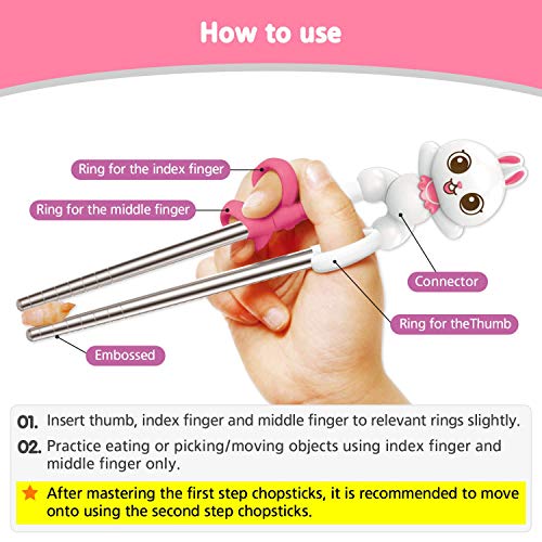 Rabbit Stainless Steel Chopsticks, Spoon, Fork and Case 4 Set, Chopsticks Training, Beginner, Brain Training (White Rabbit) Right Handed/Made in Korea