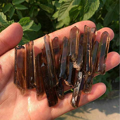 Acxico 5 pcs Natural Lemurian Smokey Quartz Crystal Point Specimen Healing 5cm