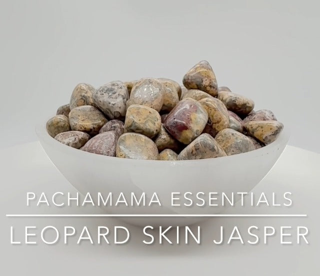 Pachamama Essentials Leopard Skin Jasper Tumbled - Healing Stone - Crystal Healing 20-25mm (5) 5