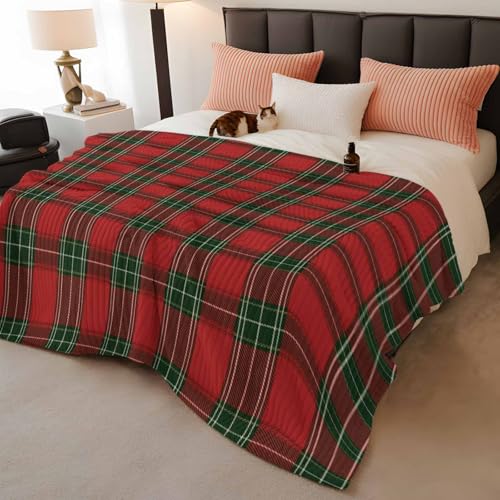 Red & Green Plaid Throw Blanket for Couch Christmas Soft & Fluffy Bed Blanket for Women Lightweight Fleece Blankets Home Decor Gifts for Women and Men 50" x 60" Plaid-YQS06869 50" x 60"