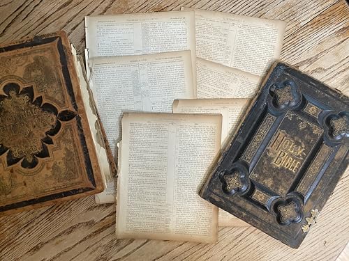 Antique Rescued Bible Glass Globe Christmas Ornaments - Tree Decor with Faith Charm - Hanging Accessories For Home, Room, Office, Church - Unique Gift for Friends, Family, Pastor Pack of 1